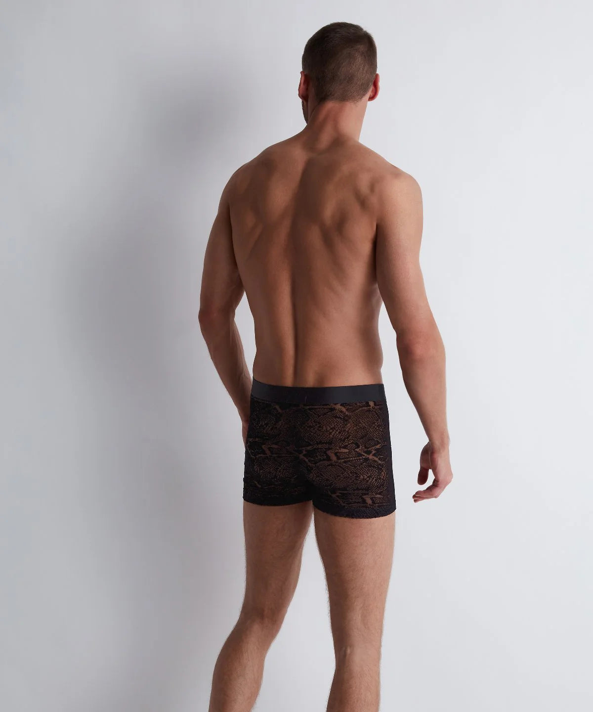 Aubade Boxer Black Python