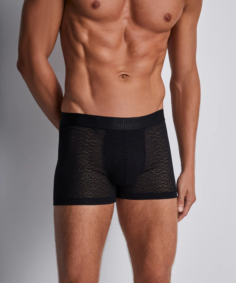 Aubade Boxer Wild cat