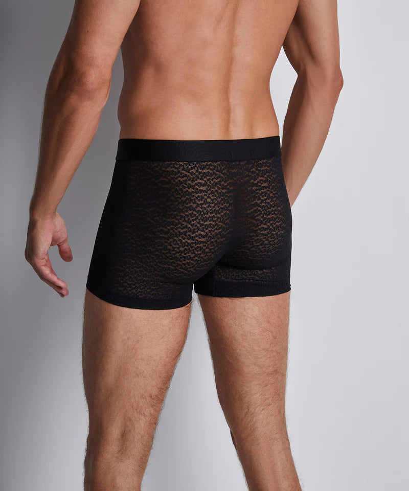 Aubade Boxer Wild cat