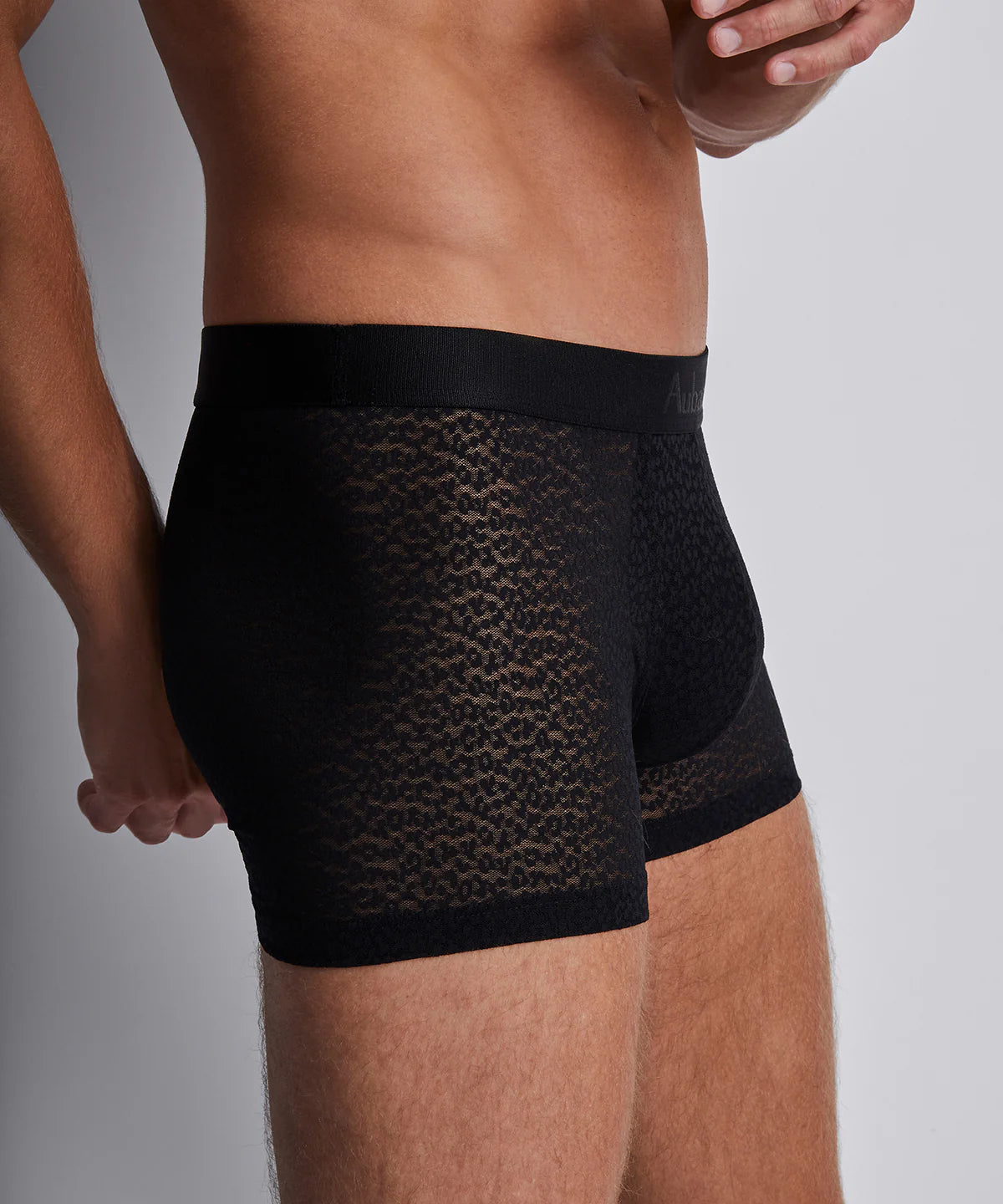 Aubade Boxer Wild cat